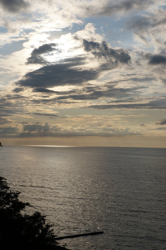 *  *  * - Алёна Савина