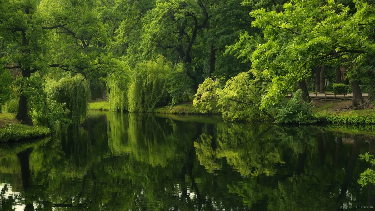 Лето в парке - Pavel Blashkin