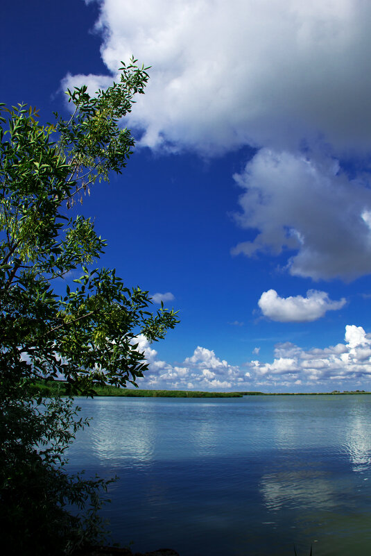 jnls[ - Oksana Verkhoglyad