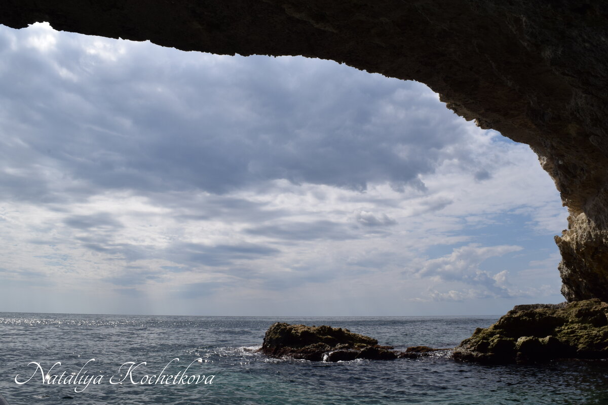 Природа Крыма - Amazing Cosmea