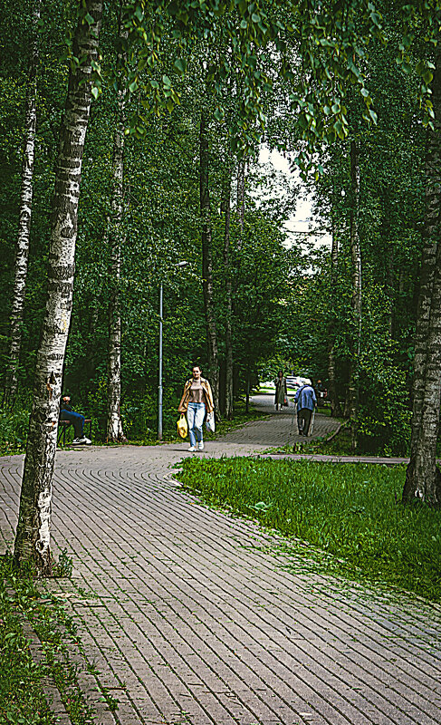 Аллейка - Владимир Кроливец