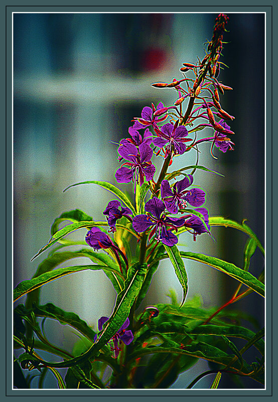 Летняя зарисовочка - Владимир Кроливец