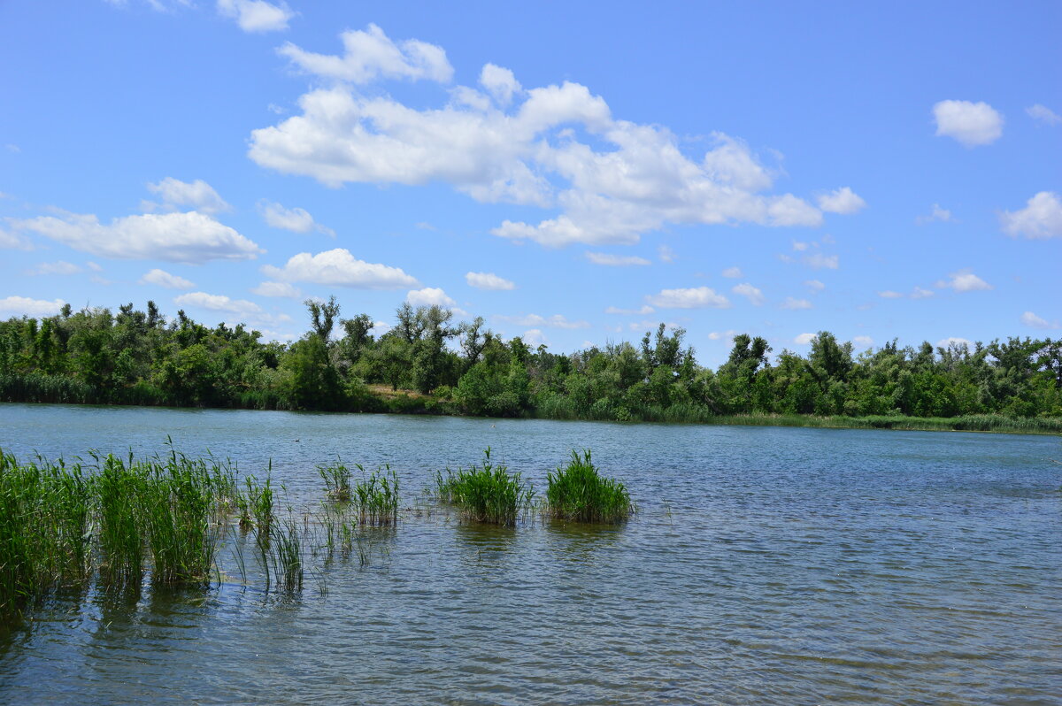 У реки. - Виктор 