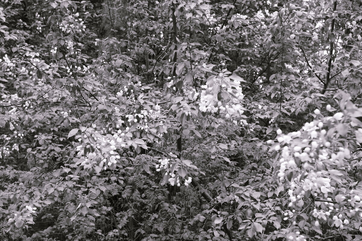 Назвва. отсу. - Денис Безногов