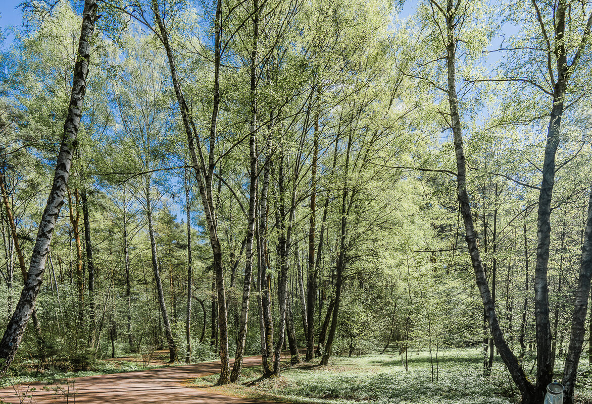 Вспомнился май - Владимир Езеров 