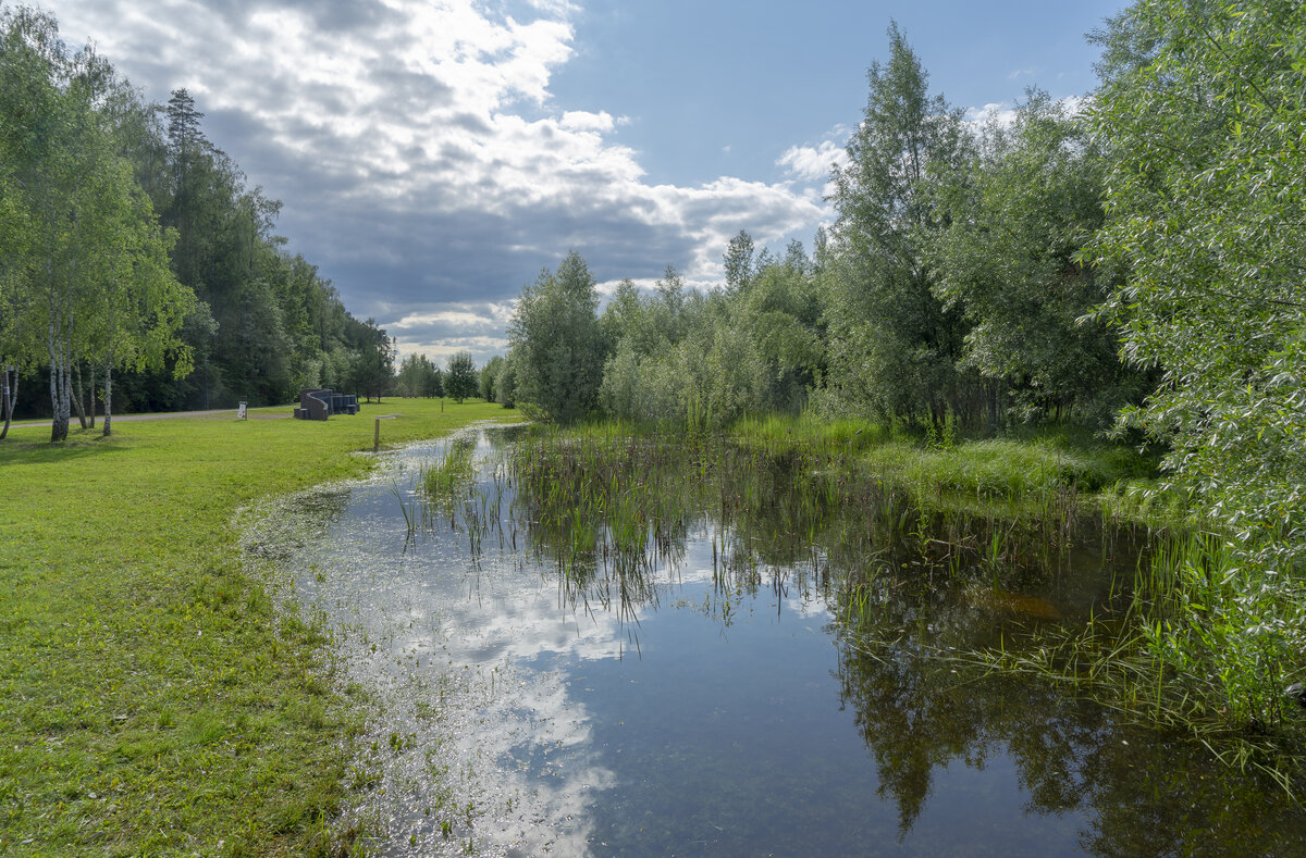 После дождя - Владимир Езеров 