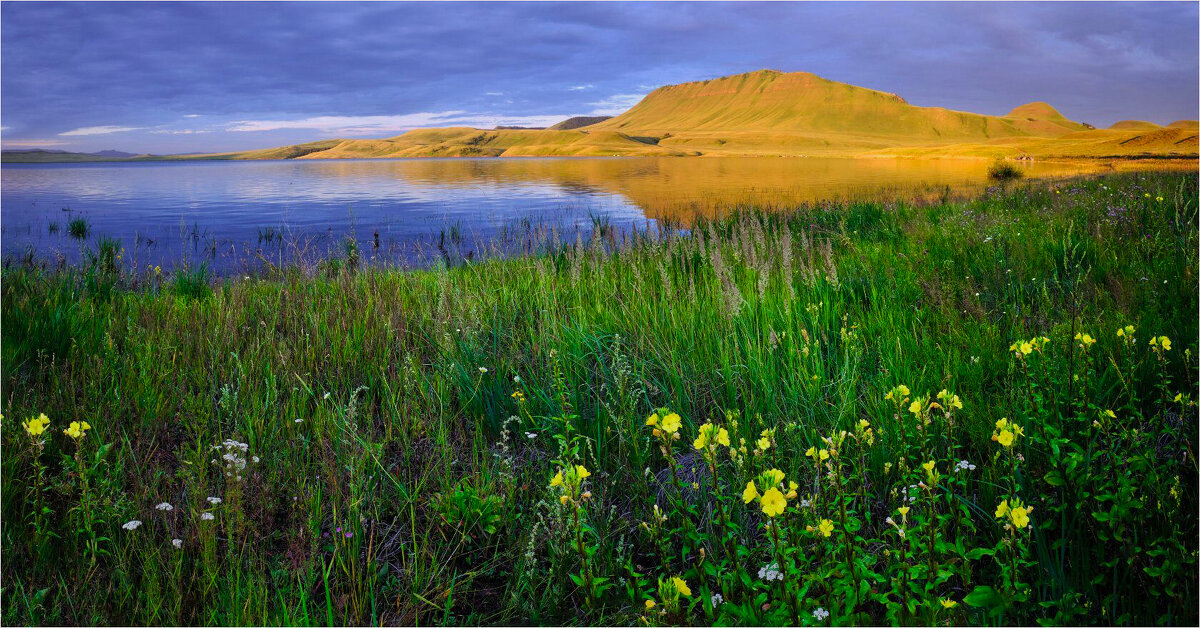 На берегу залива Варча - Алексей Мезенцев