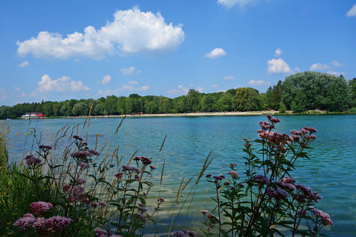 Лето...... - Галина 