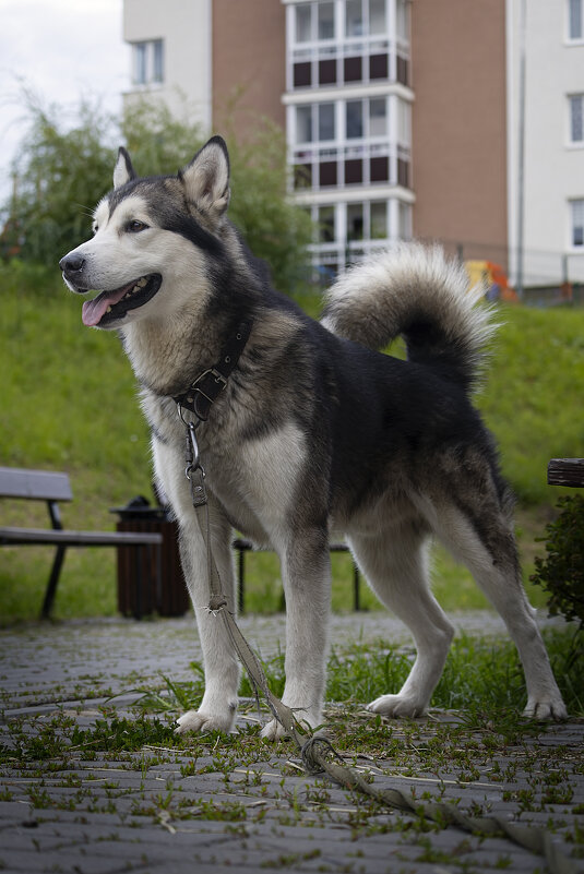 Ярик. - leff Postnov Ярик. - leff Postnov