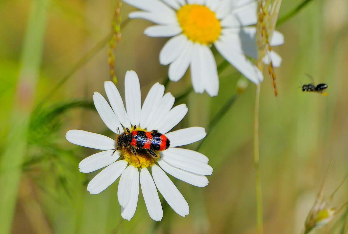 Из снятого сегодня 2 - Александр Прокудин