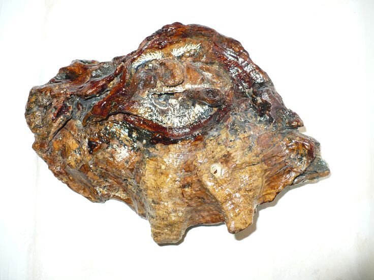 КАМЧАТСКИЙ КРАБОЛОВ . Лесная скульптура (тутовик берёзовый) - Валерий Кокорев