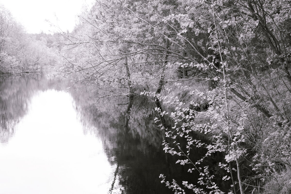 Назва. отсу. - Денис Безногов