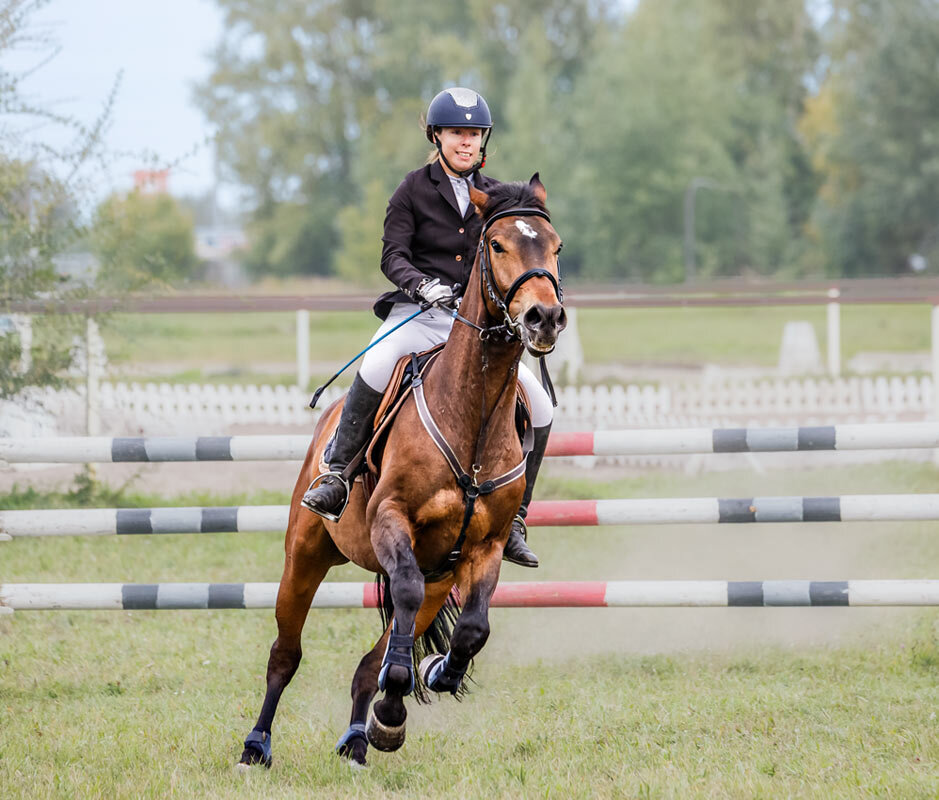 Конкур - SanSan 