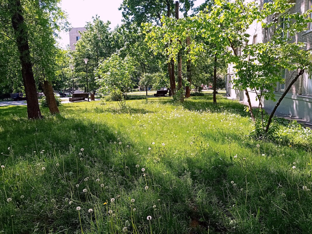 Это Москва. - Владимир Драгунский