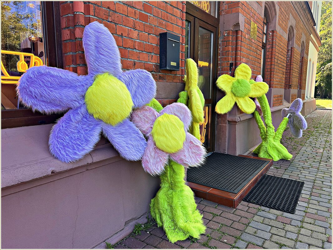 Цветы у магазина. - Валерия Комова