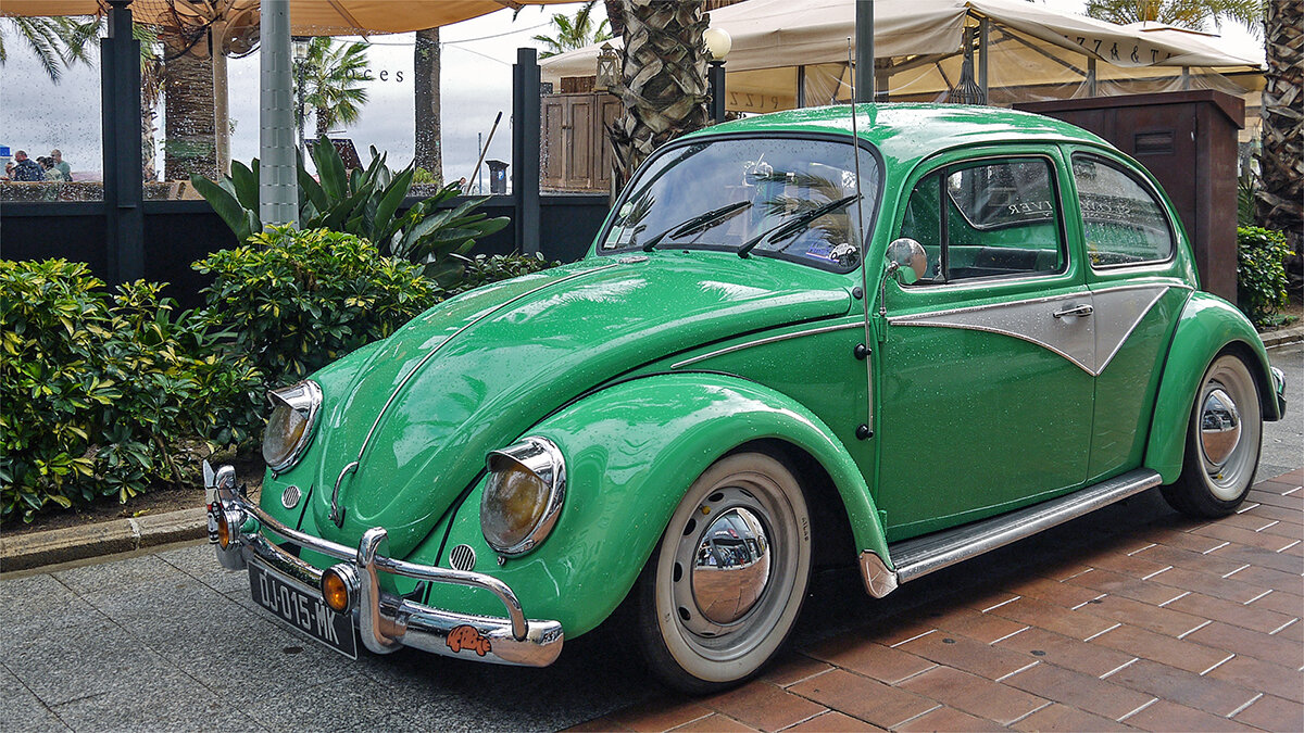 Зелёненьким он был - Alexandеr P