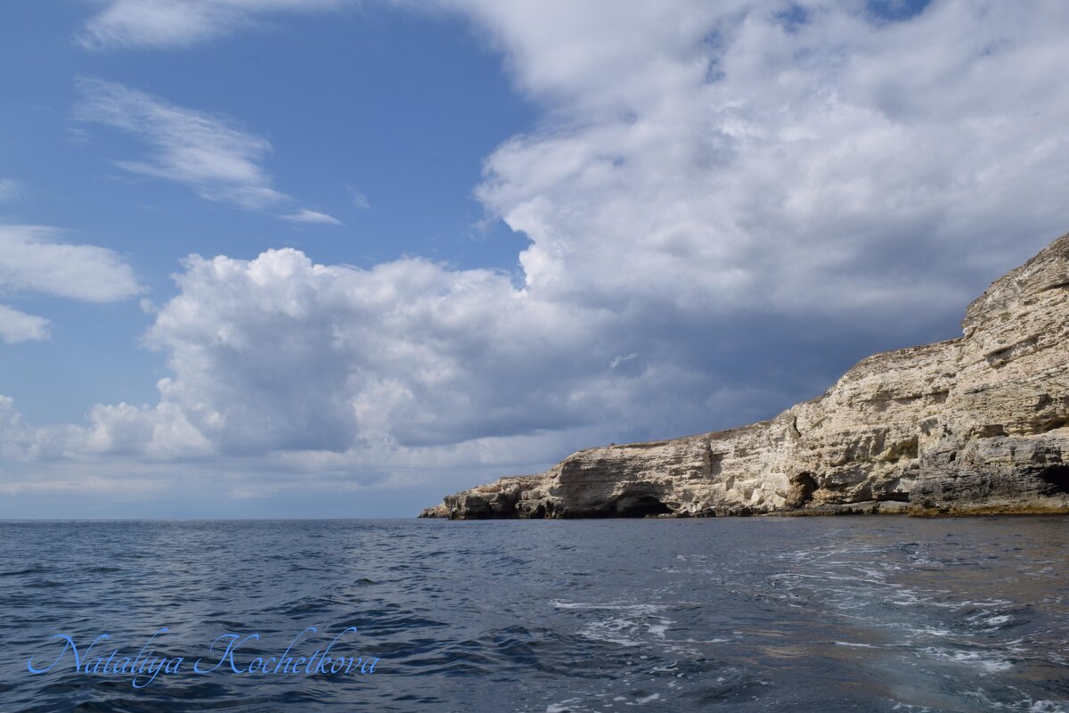 Природа Крыма - Amazing Cosmea