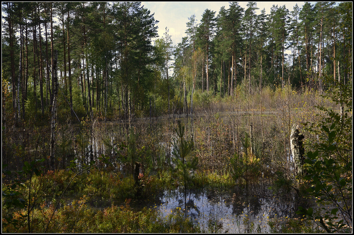 *** - Aleksandr Gal *** - Aleksandr Gal