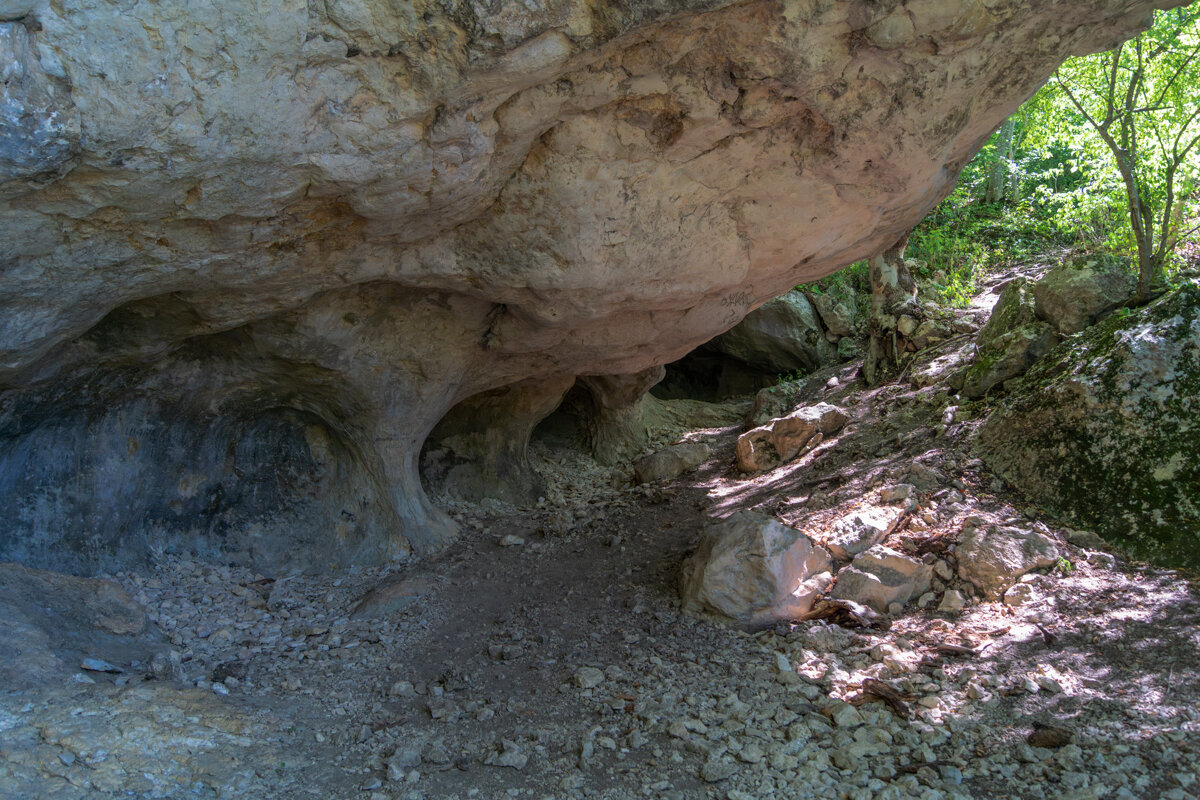 Поход в горы - Игорь Сикорский