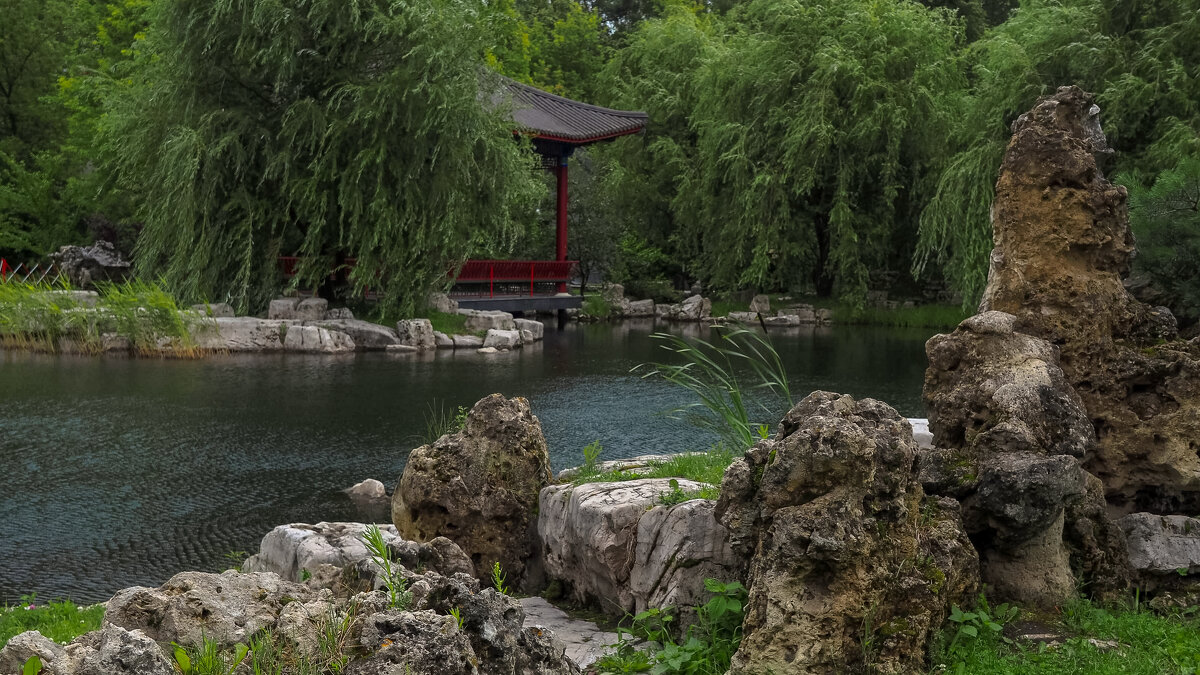 В Парке Хуамин - юрий поляков В Парке Хуамин - юрий поляков