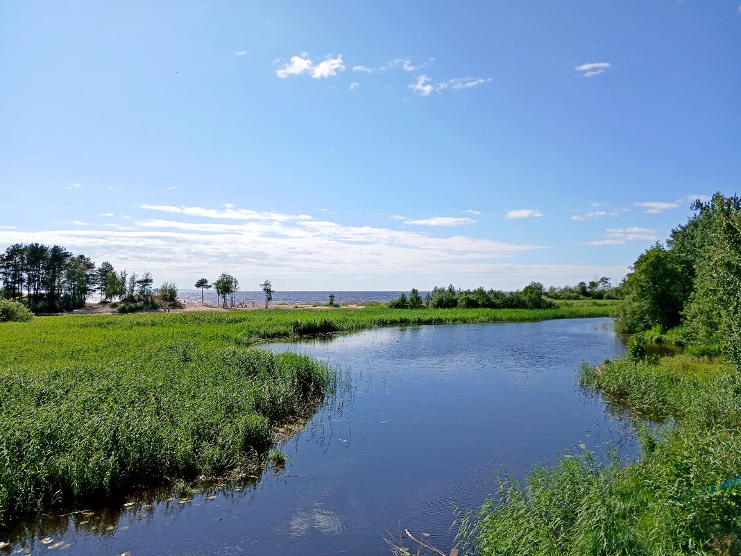 Река, а за ней залив. - Лия ☼