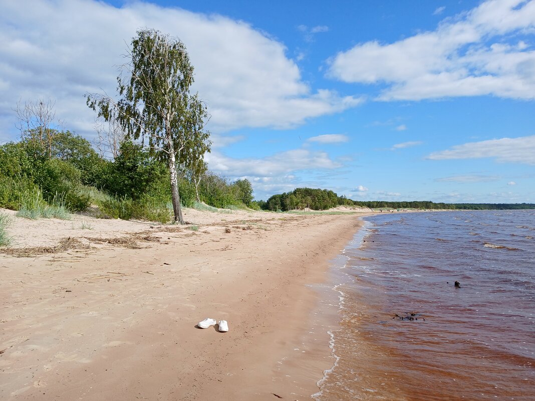 Первый день июля. - Лия ☼