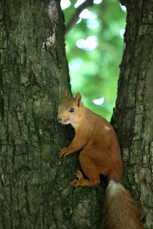 А, пришли... - Александр Кондаков А, пришли... - Александр Кондаков