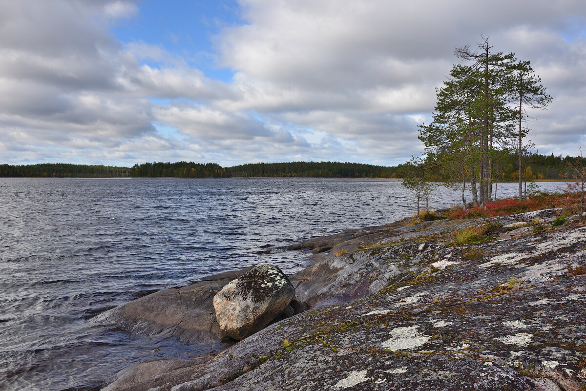*** - Александр Хаецкий