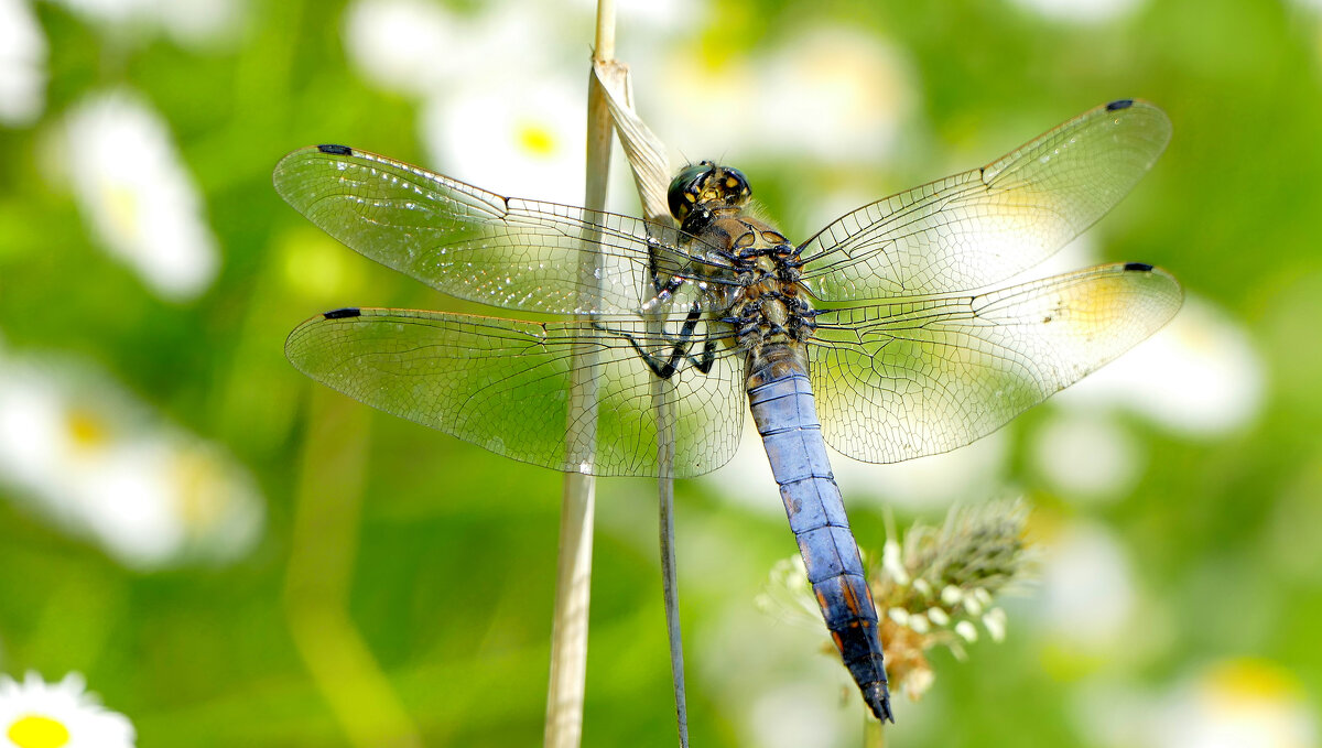 Из снятого вчера 2 - Александр Прокудин Из снятого вчера 2 - Александр Прокудин