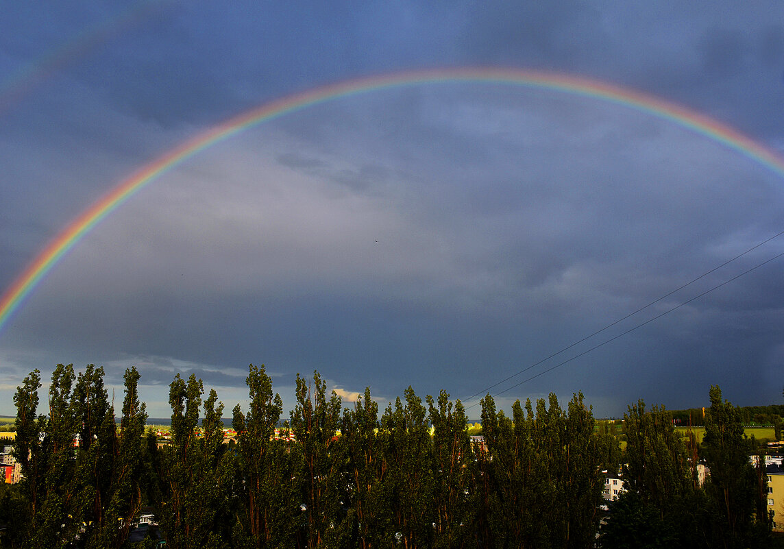 Июньский подарок! - Валентина  Нефёдова 