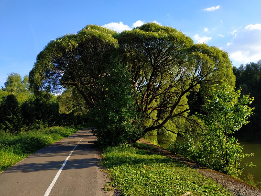 Пять прудов Измайловского парка - Андрей Лукьянов