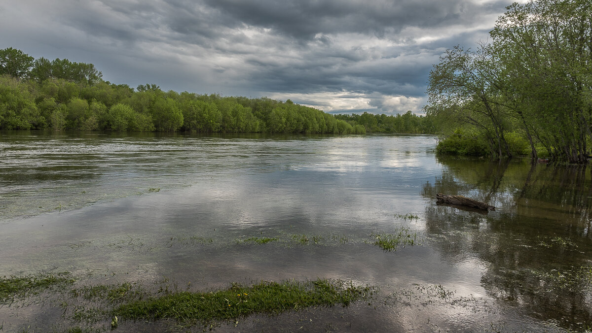 ... - Жора Житников