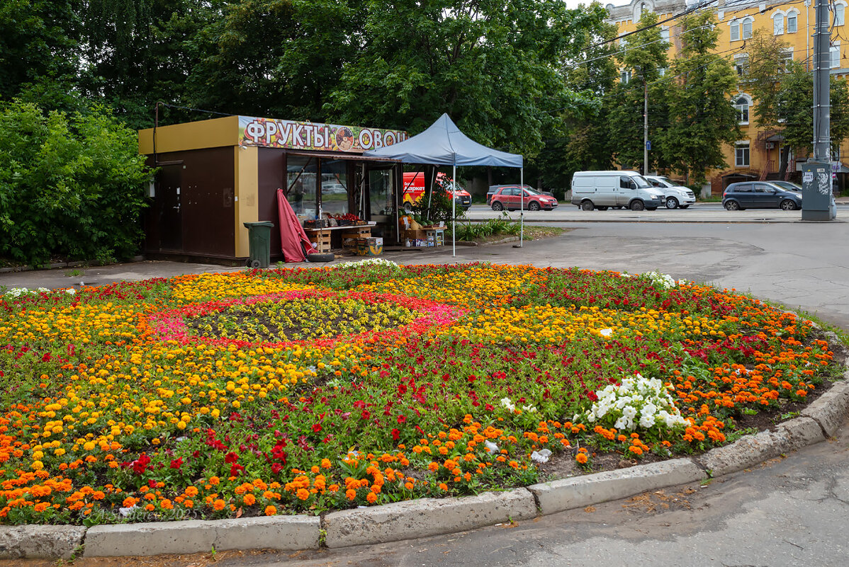 Цветочная клумба и овощная лавка - Александр Синдерёв