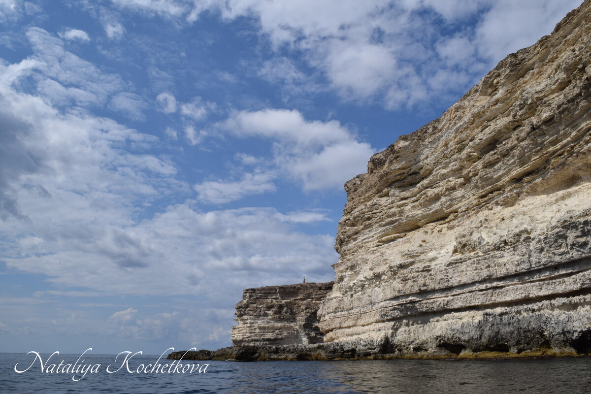 Природа Крыма - Amazing Cosmea