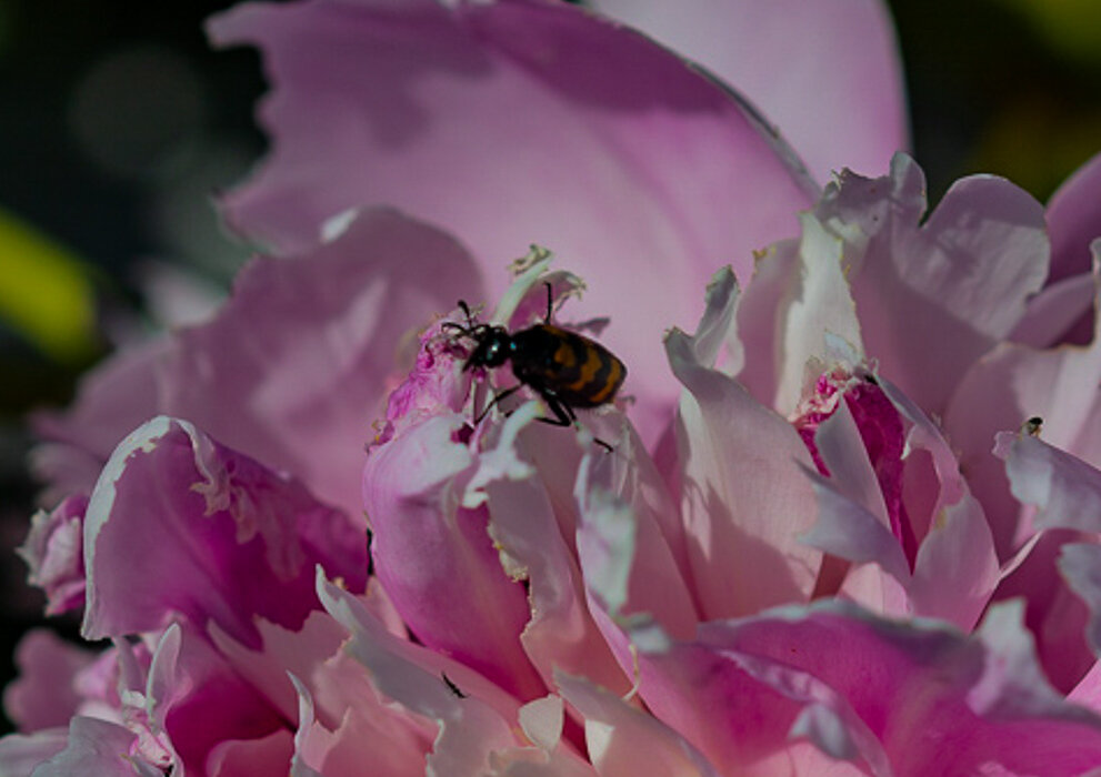 Как вкусно) - Светлана SvetNika17