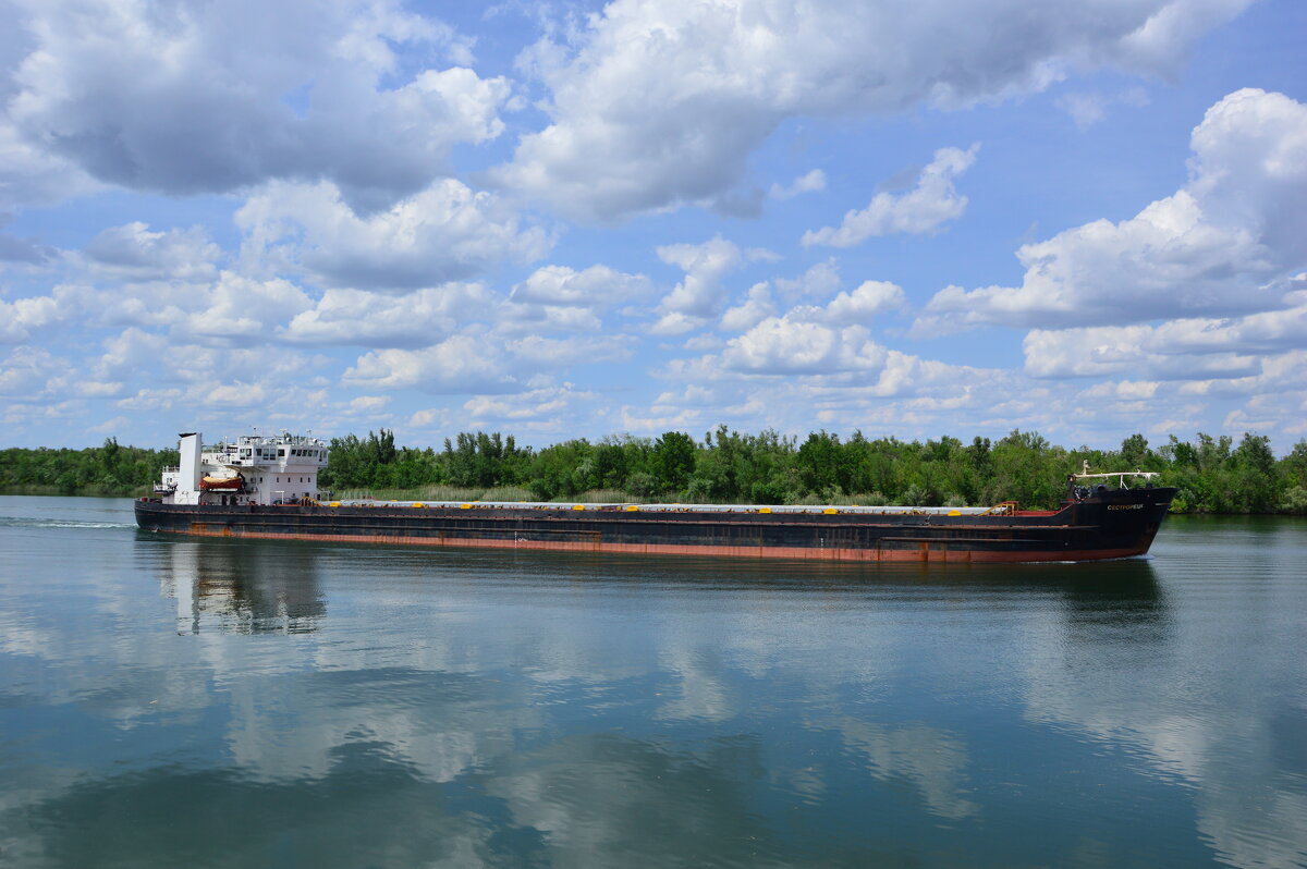 Дон - Виктор 