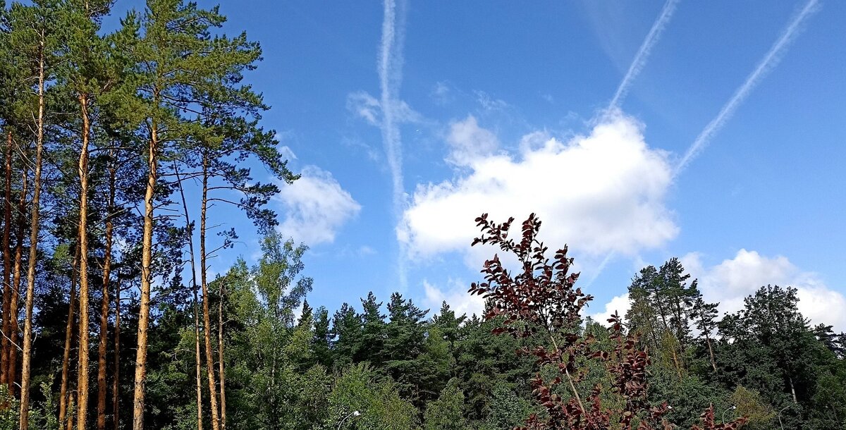 Лето. Облако на веревочках... - Татьяна Тюменка