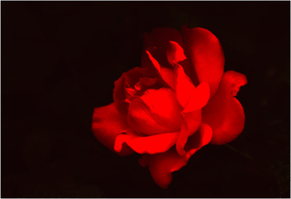 Грация - Валентин Котляров