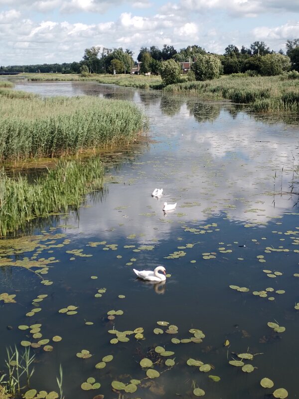 Трио - Юлия Трио - Юлия