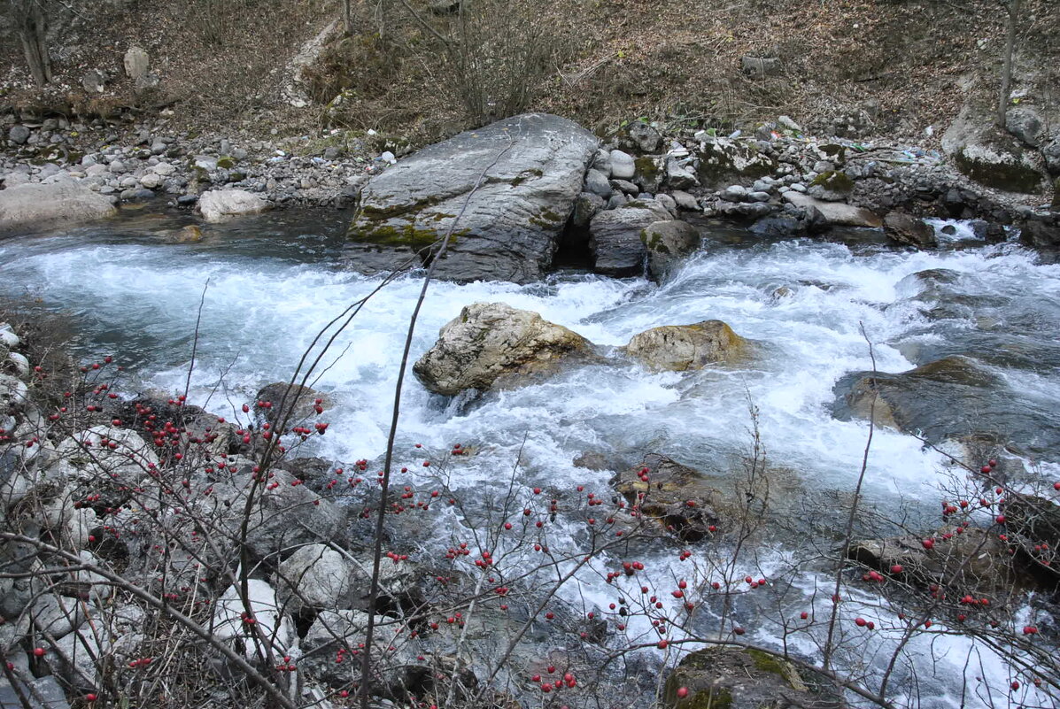 Бурные воды горной реки - Марина Виноградова Бурные воды горной реки - Марина Виноградова