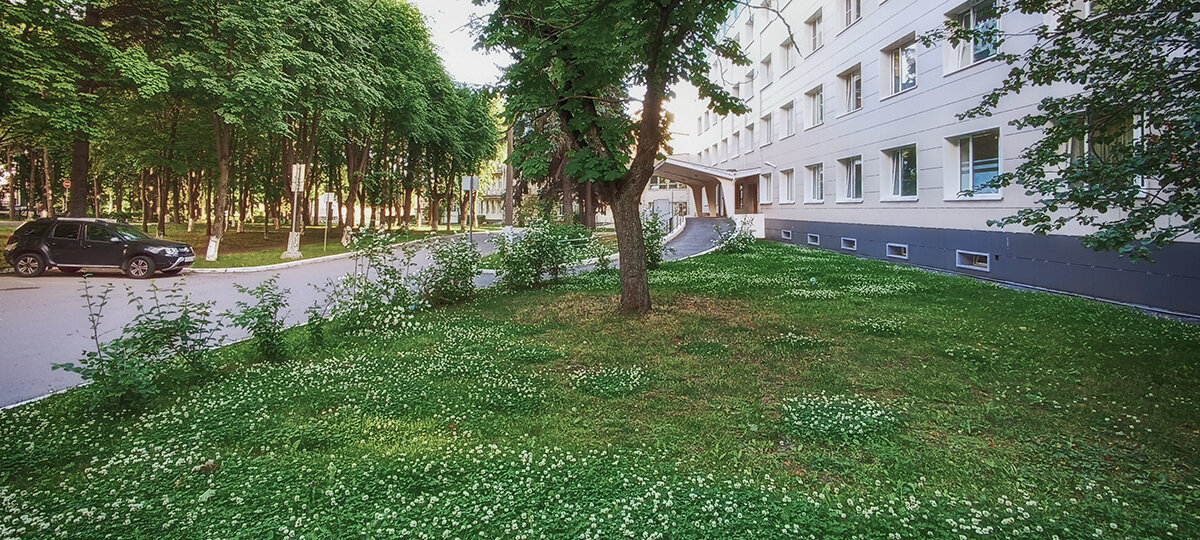 Территория больницы Святого Луки Крымского. - Лилия * Территория больницы Святого Луки Крымского. - Лилия *