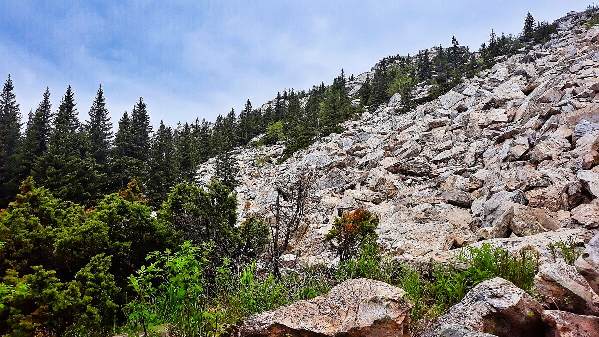 Дружною гурьбою - Hope Дружною гурьбою - Hope