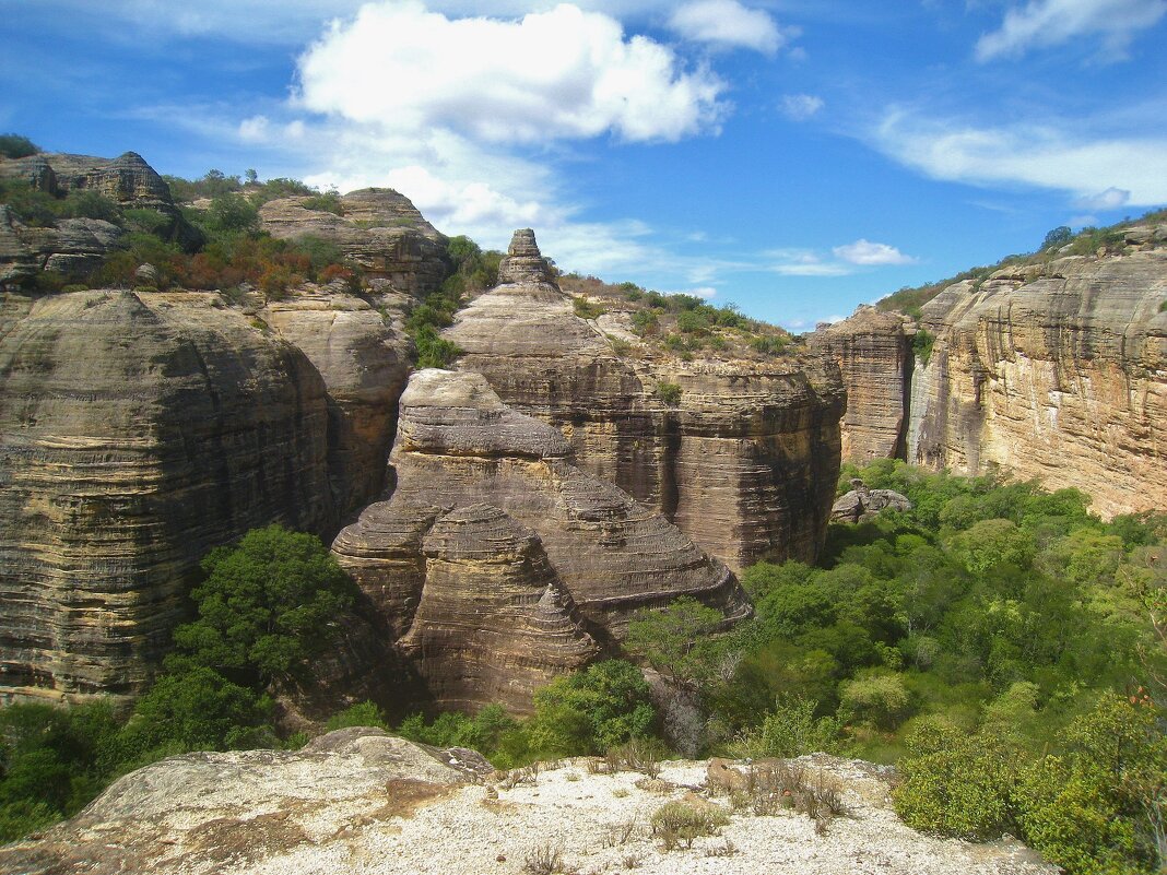 В Национальном парке Серра-да-Капивара, Бразилия. - unix (Илья Утропов)
