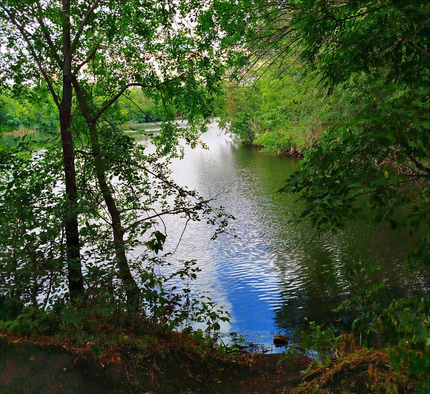 В зоопарке! - Надежда 