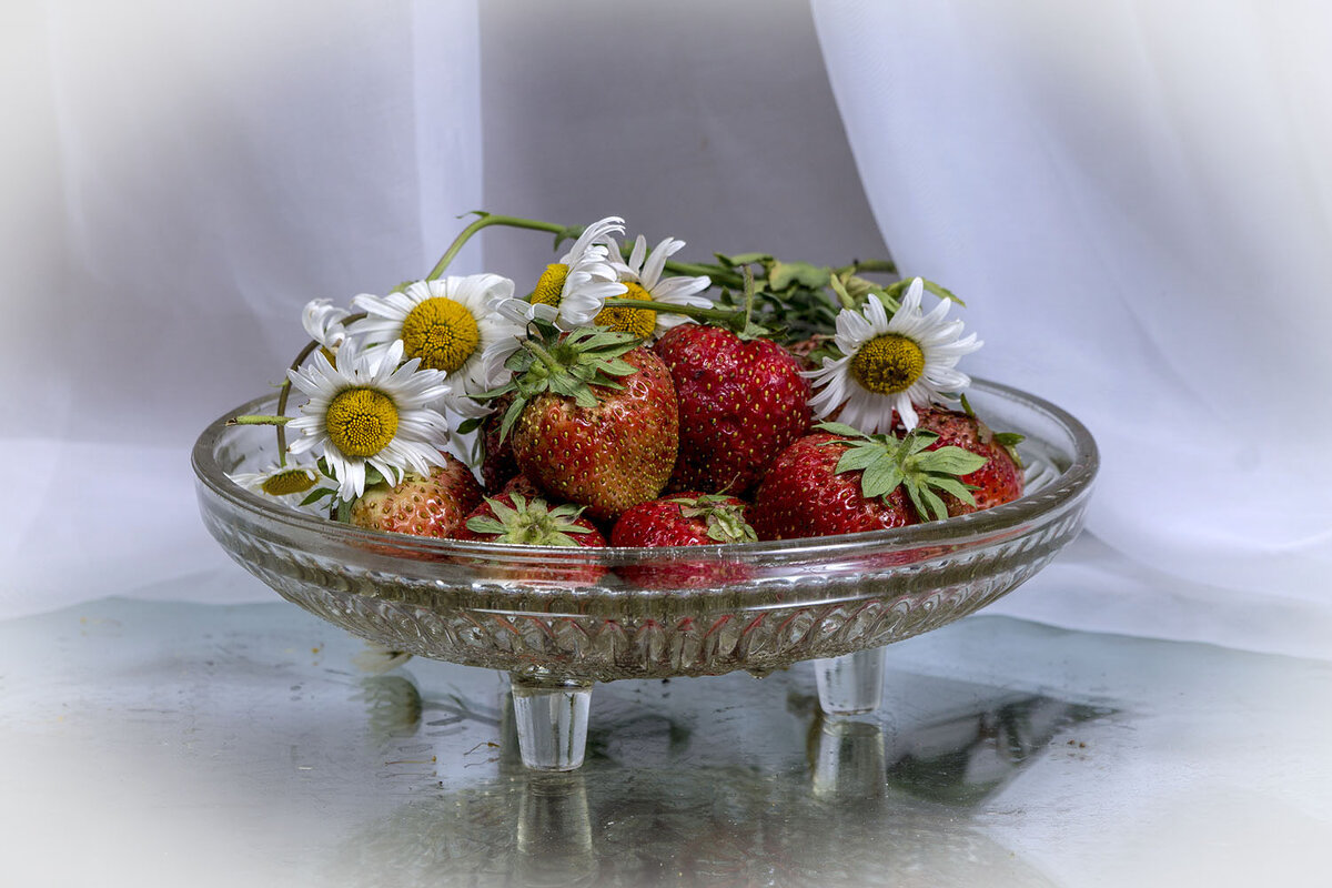 Лето на тарелочке! - Людмила Павловна Крышковец