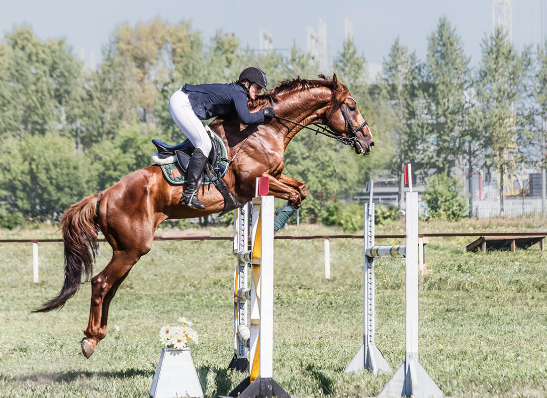 Конкур - SanSan 