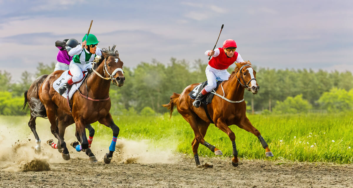 Скачки - SanSan 