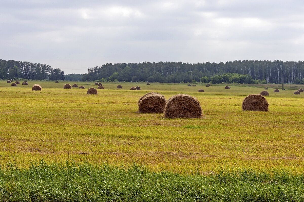 Сенокосная пора - Валерий Иванович