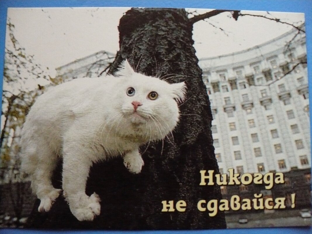 НИКОГДА !... - Валерий Кокорев