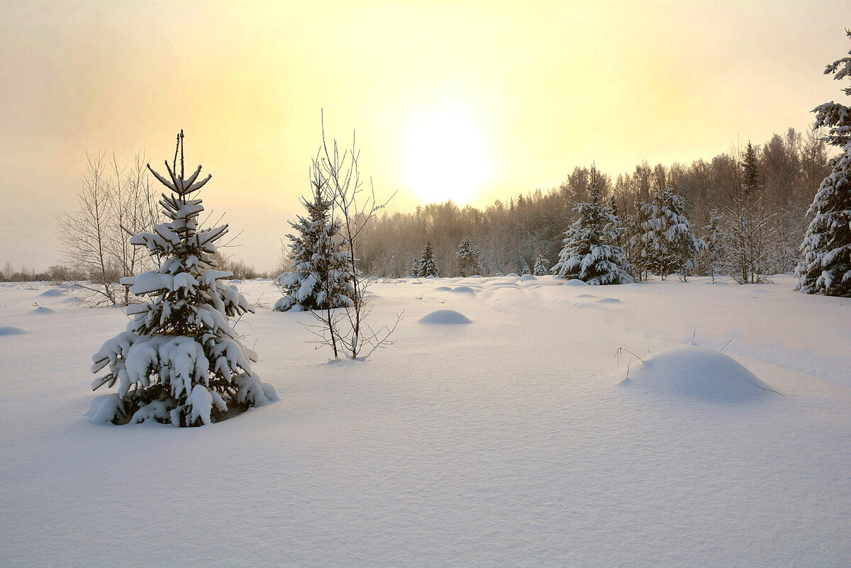 Утро нового дня - Михаил Белоусов Утро нового дня - Михаил Белоусов